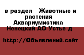  в раздел : Животные и растения » Аквариумистика . Ненецкий АО,Устье д.